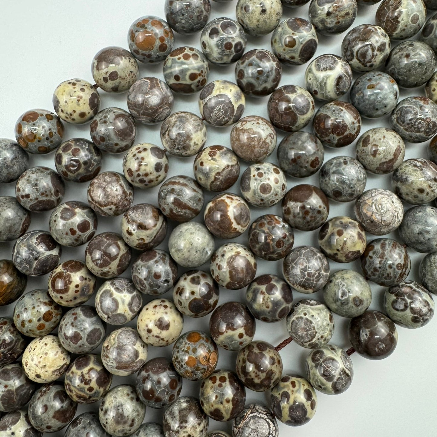 Ocean Fossil Jasper Polished Round Beads image 3