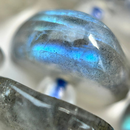 Labradorite Beads - Blade Polished Beads (AB Quality)