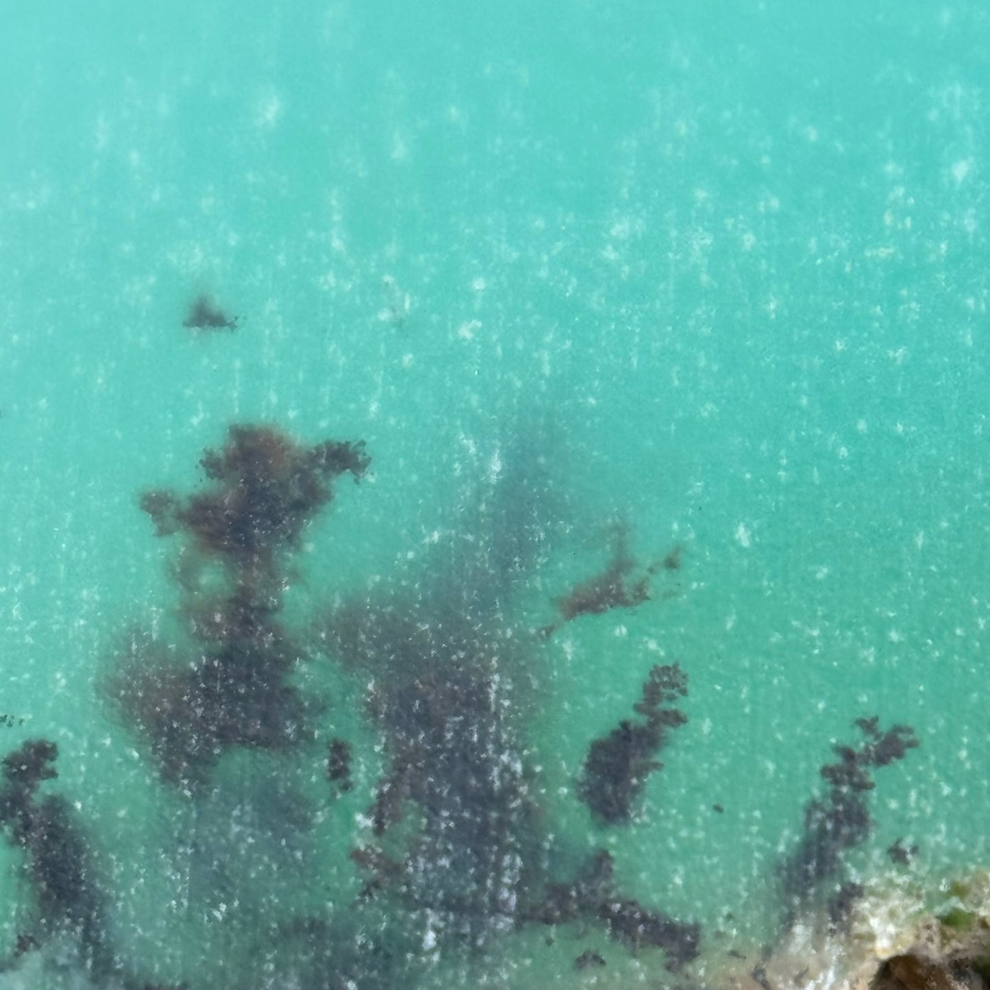 Blue Dendritic Opal (113 grams) image 10