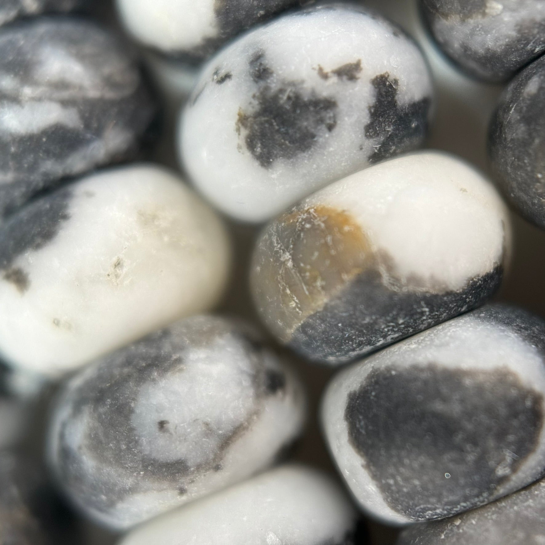 Black and White Jasper Rondelle Beads image 1