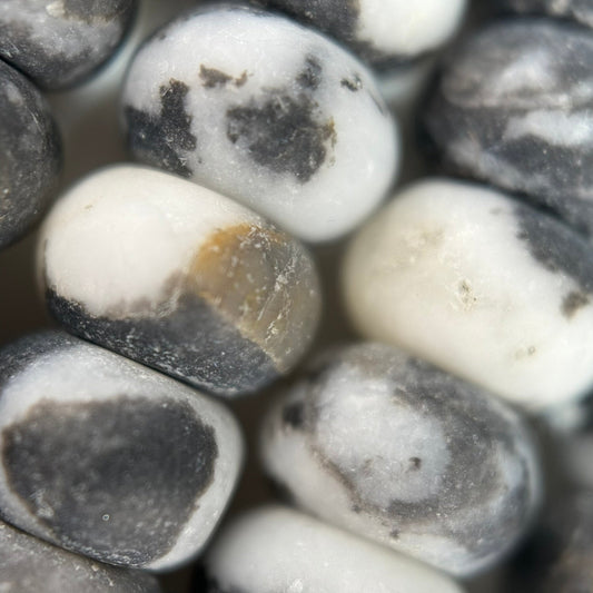 Jasper Black and White Frosted Rondelle Beads (A Quality)