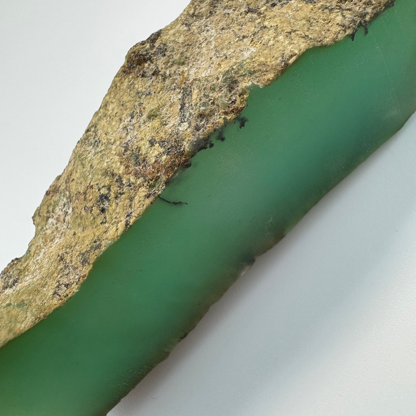 Blue Dendritic Opal (113 grams) image 6