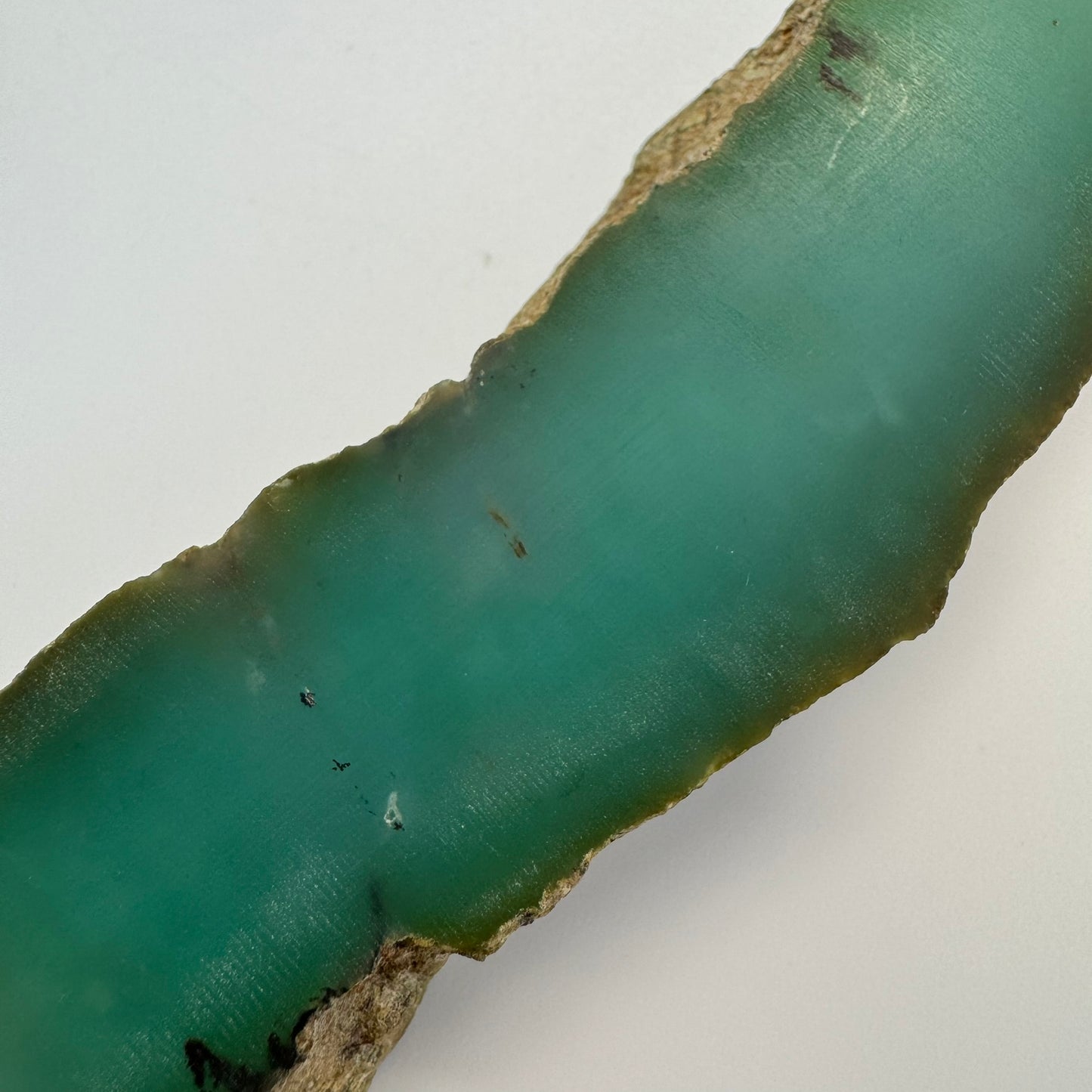 Blue Dendritic Opal (113 grams) image 1