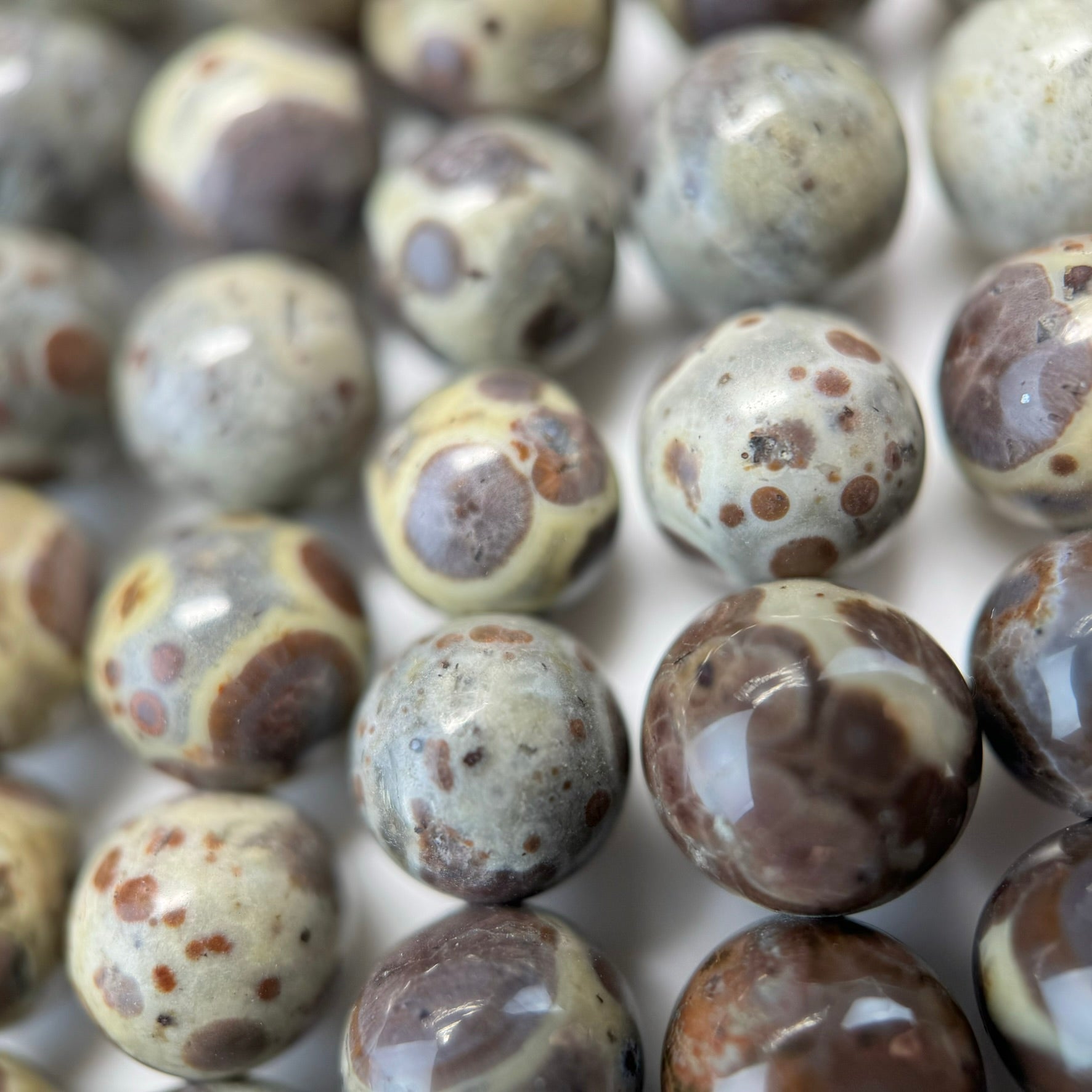 Ocean Fossil Jasper Polished Round Beads image 2