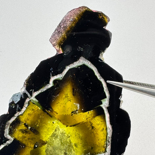 Watermelon Tourmaline (217 CT)