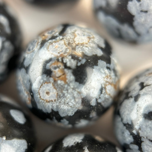 Obsidian Snowflake Polished Round Beads - (AA Quality)