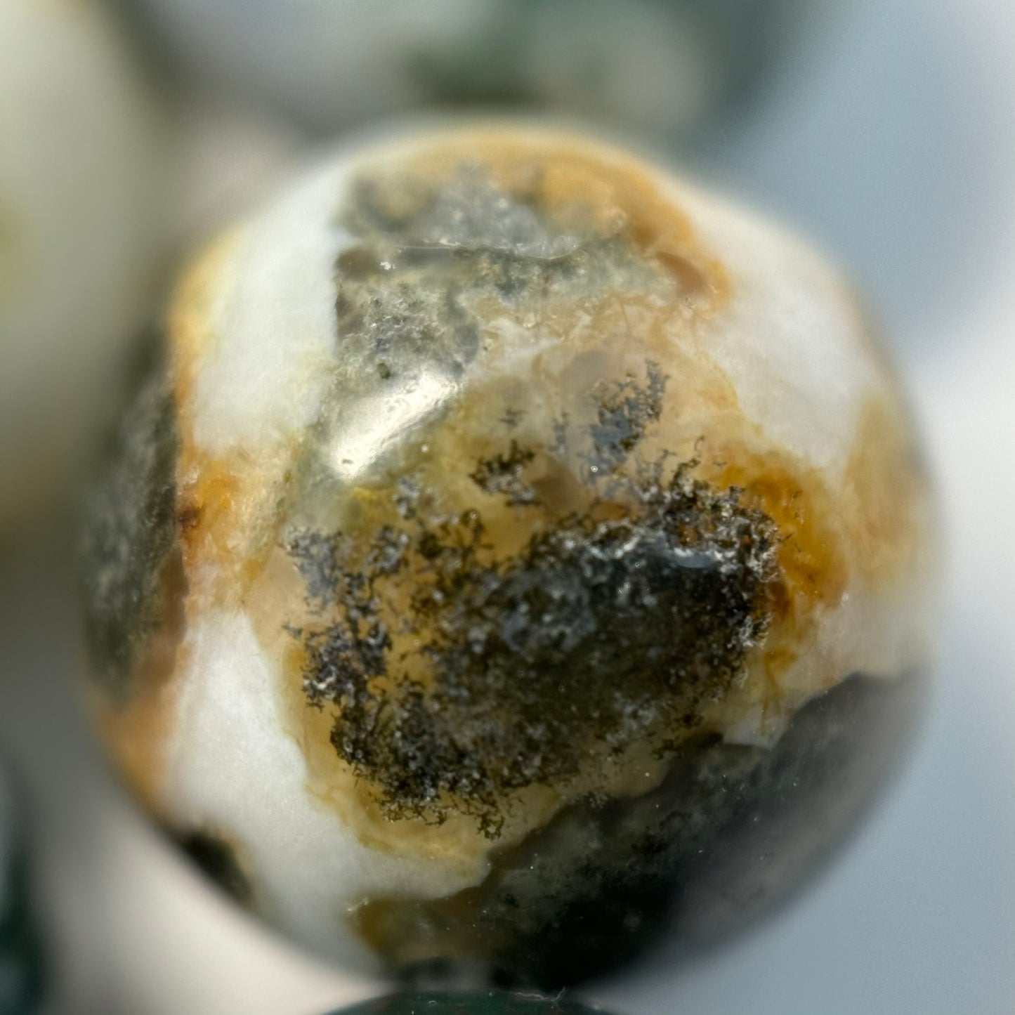 Tree Moss Agate Polished Round Beads image 12