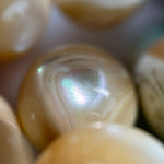 Green Shell Polished Round Beads image 8
