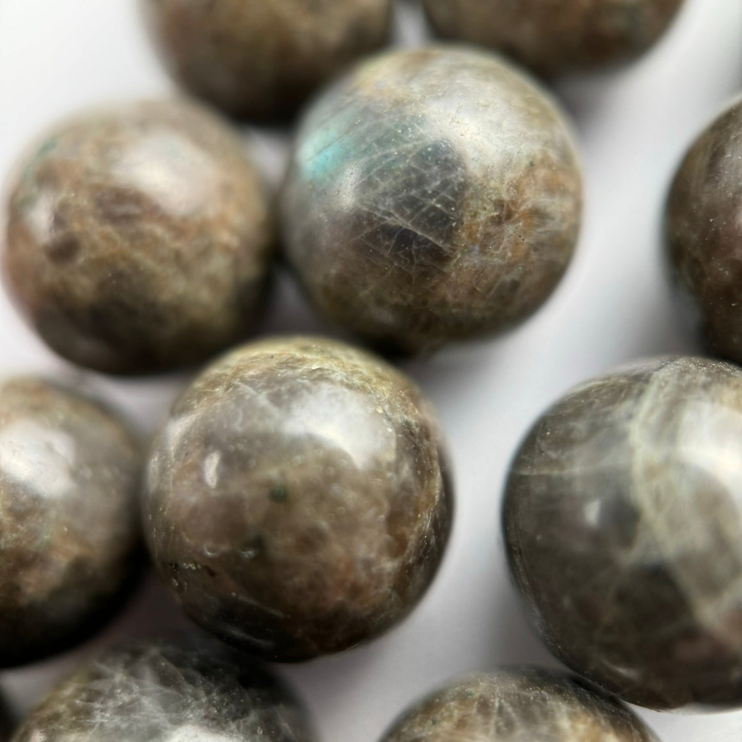 Chocolate Labradorite Polished Round Beads image 3