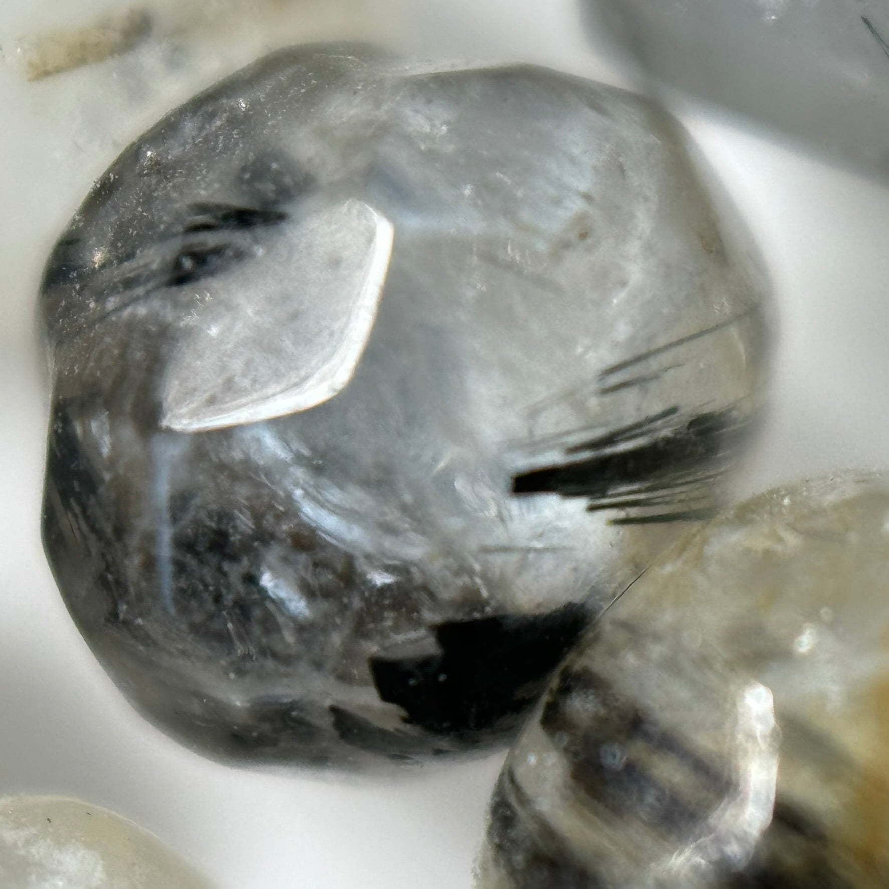 Black Tourmalinated Quartz Faceted Rondelle Beads image 7