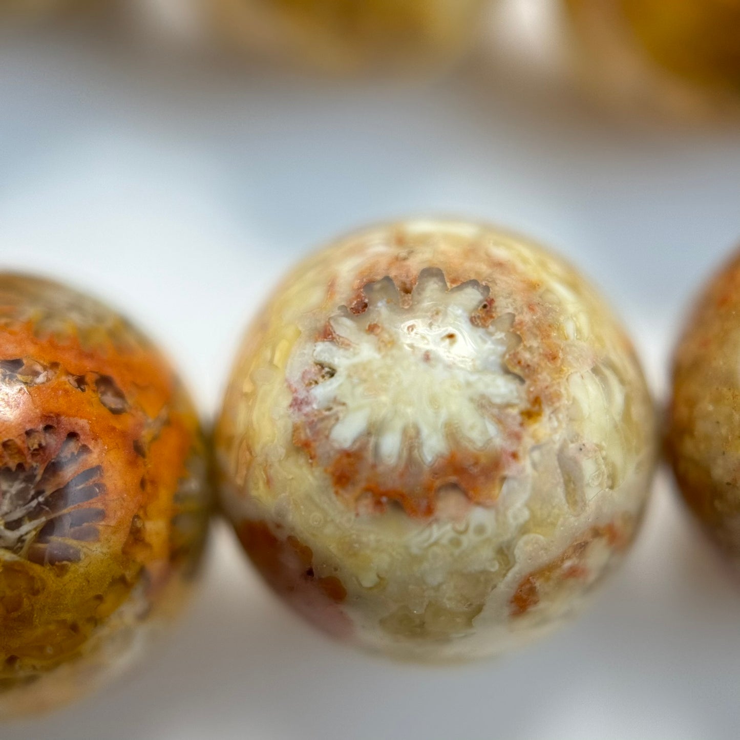 Fossilized Coral Polished Roudn Beads image 6