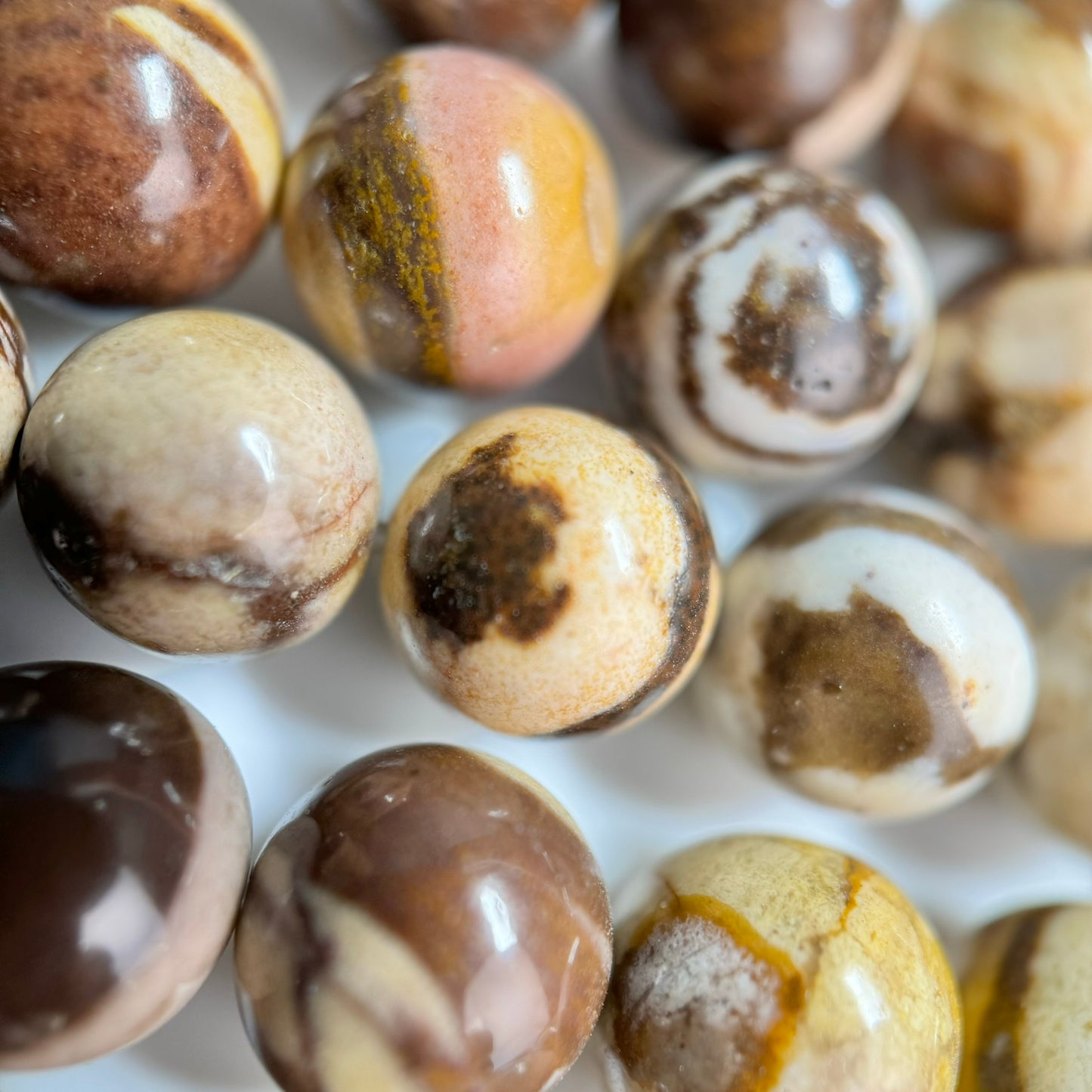 Australian Zebra Jasper Polished Round Beads image 4