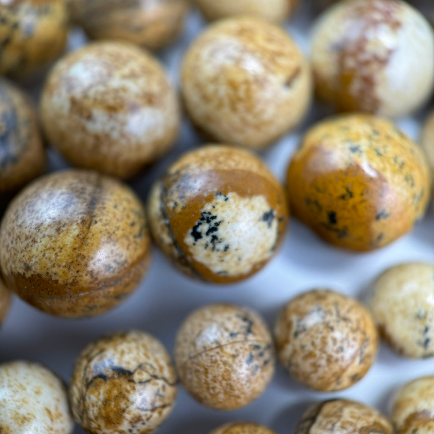 Picture Jasper Polished Round Beads image 3
