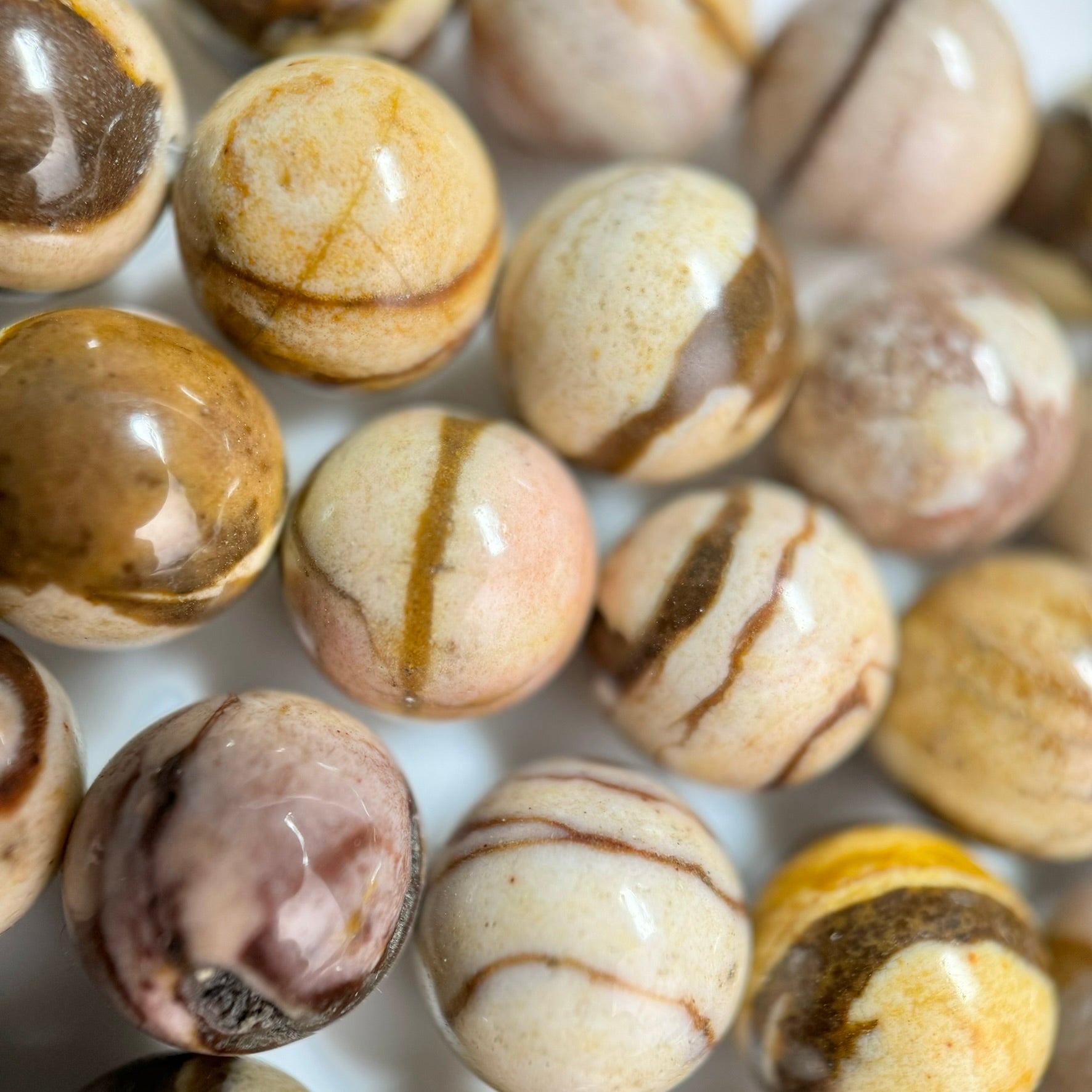 Australian Zebra Jasper Polished Round Beads image 5