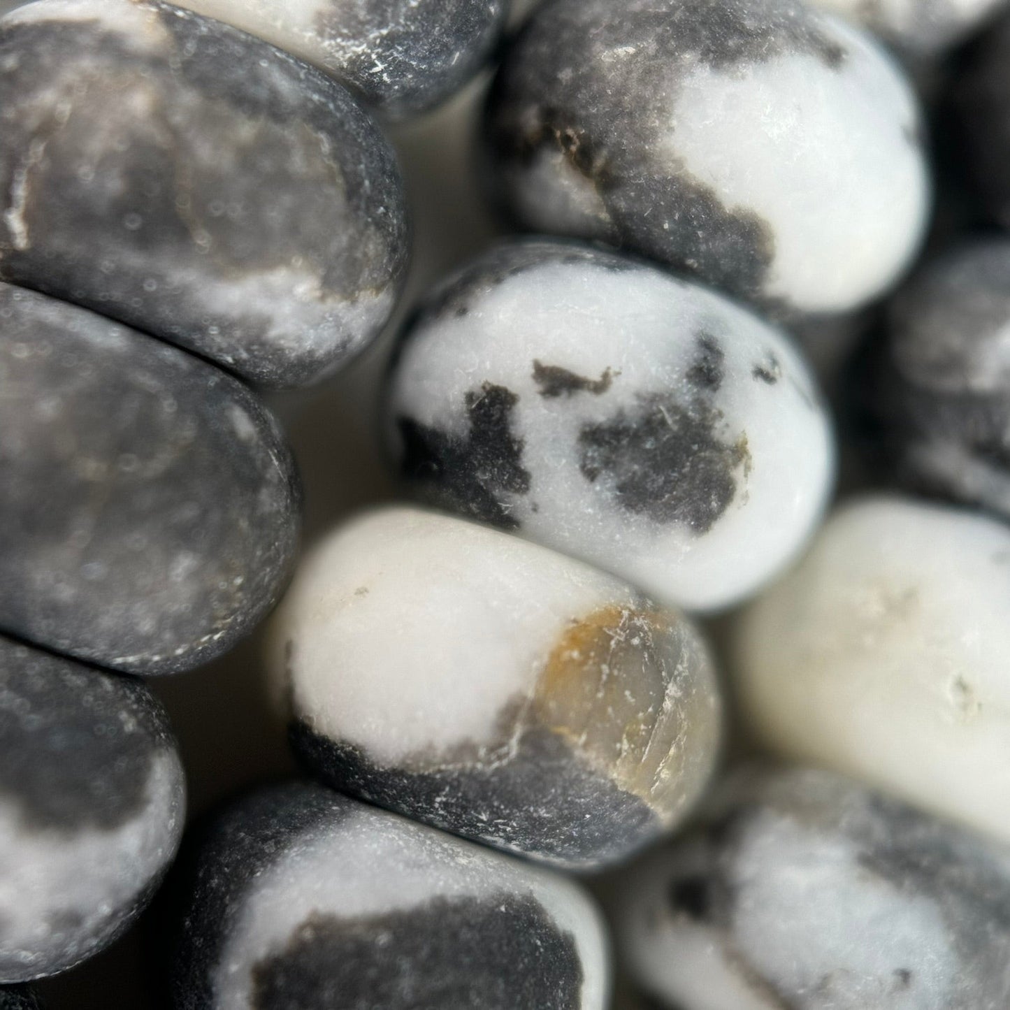 Black and White Jasper Rondelle Beads image 4
