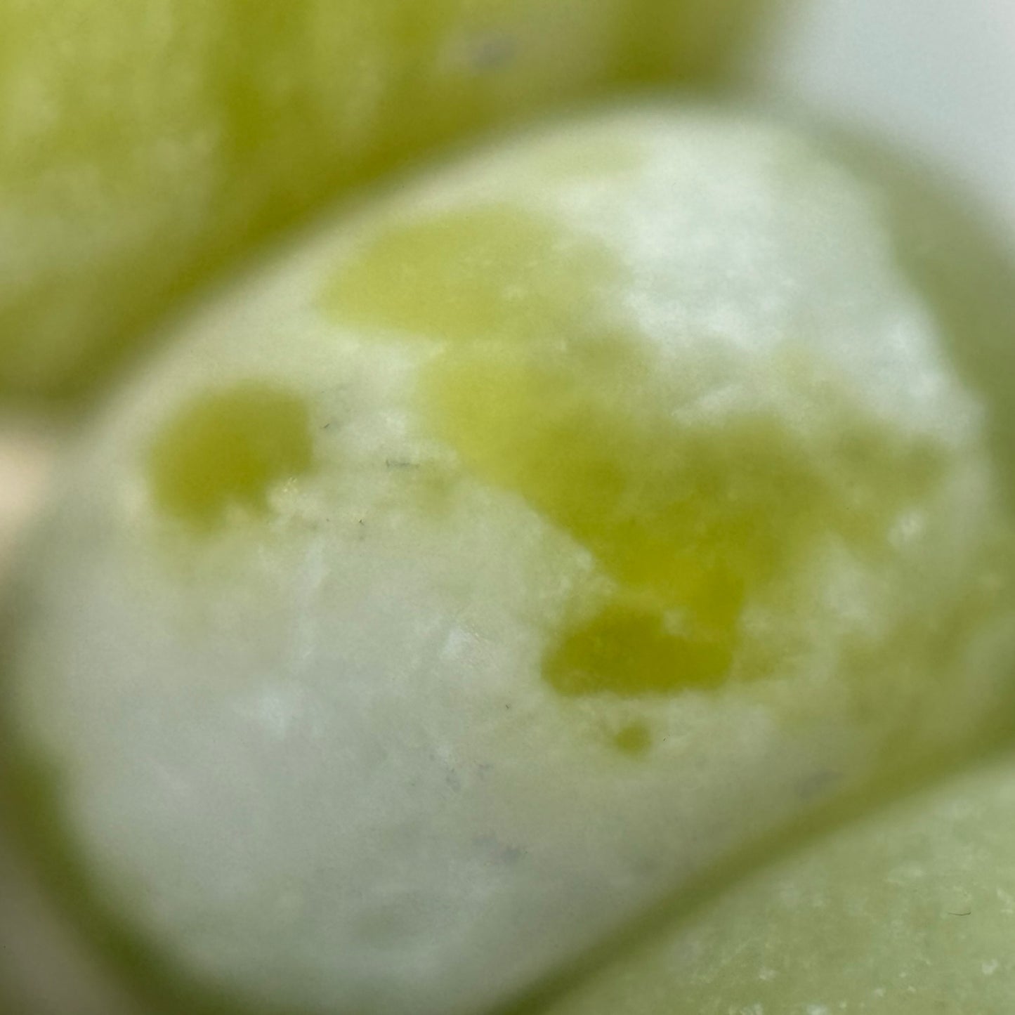 Green Serpentine Frosted Rondelle Beads image 2