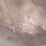 Kunzite Crystal (243 grams) image 8