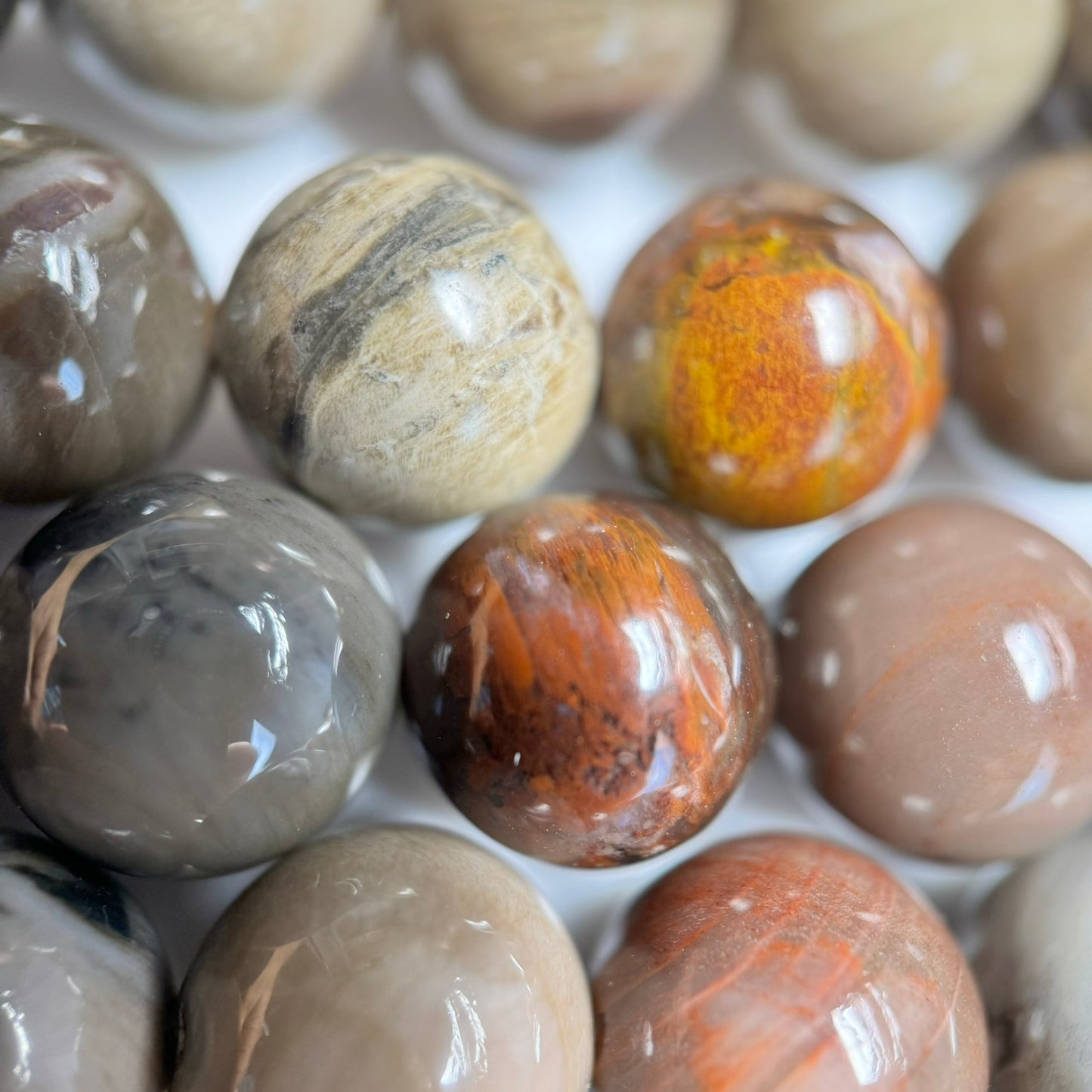 Brown Petrified Wood Polished Round Beads image 5