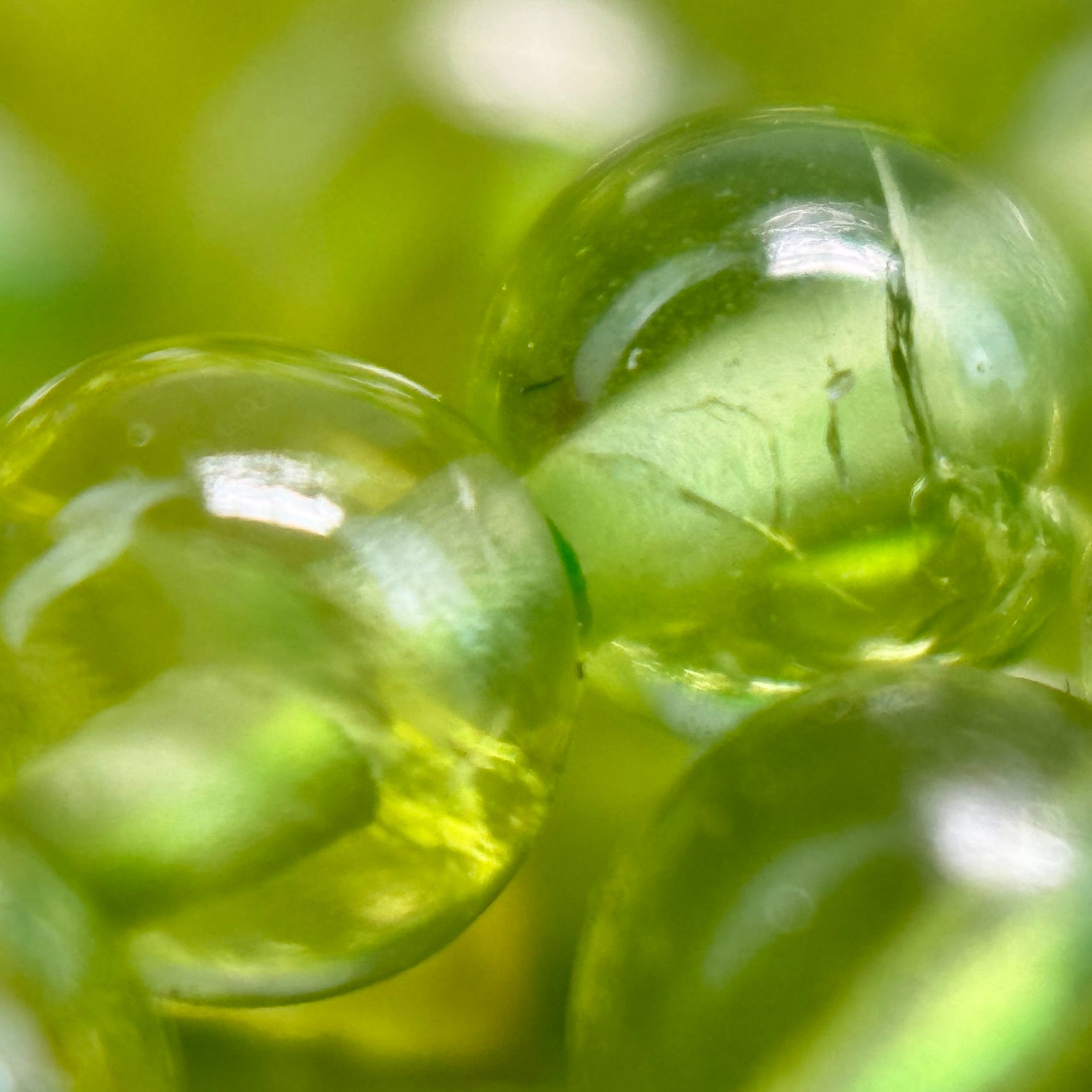 Peridot Polished Round Beads image 2