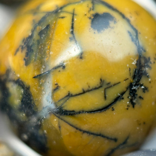 Golden Dendritic Agate Polished Round Beads