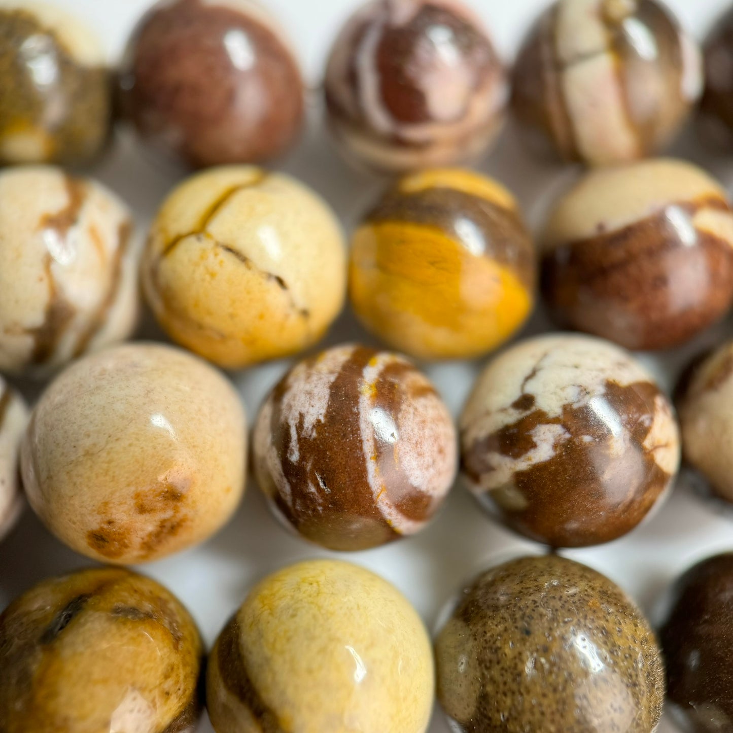 Australian Zebra Jasper Polished Round Beads image 1