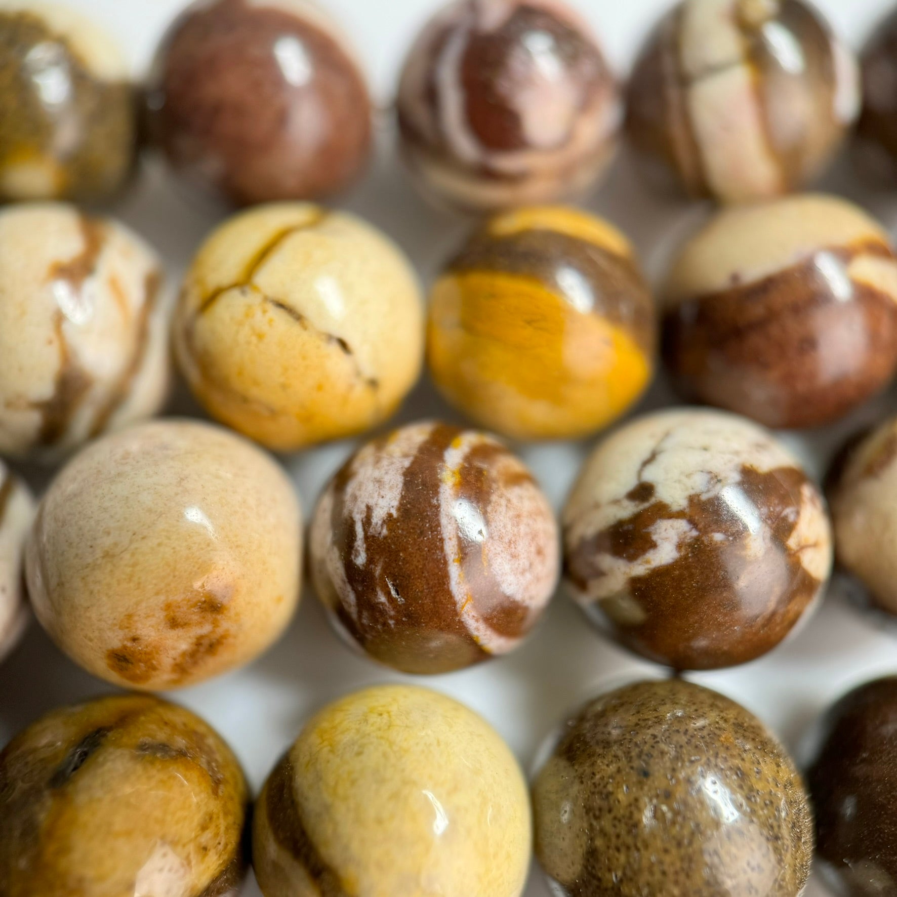 Australian Zebra Jasper Polished Round Beads image 1