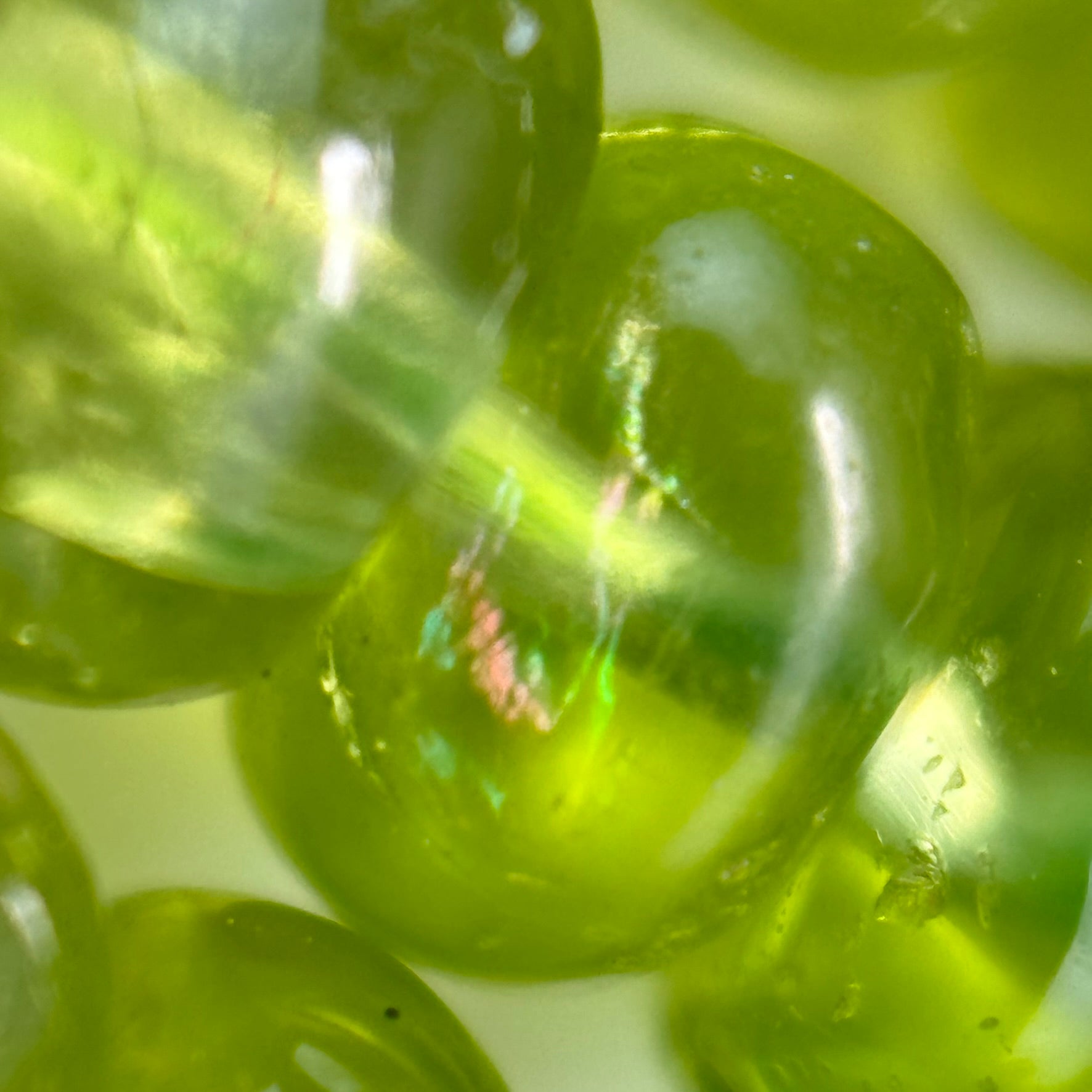 Peridot AA Rondelle Polished Beads image 2