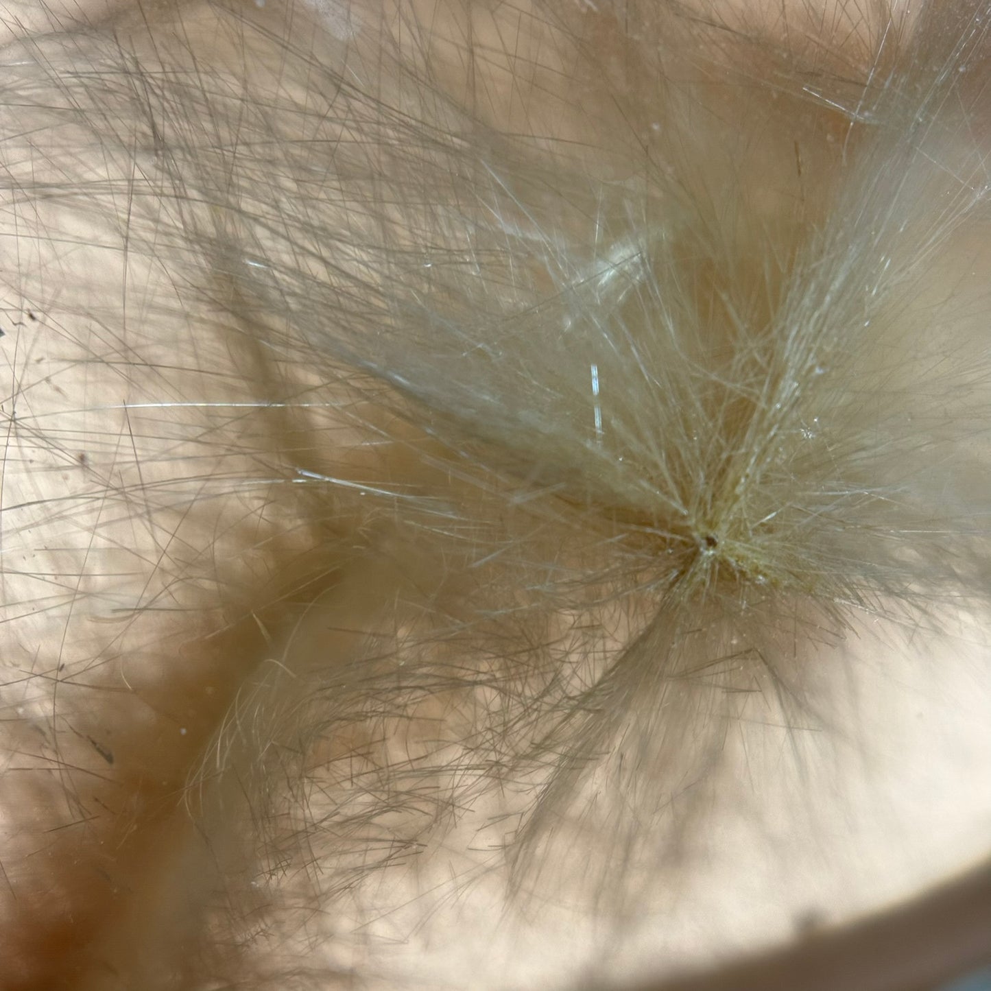 Golden Rutilated Quartz Coral Reef Pendant with Three Yellow Sapphires image 8