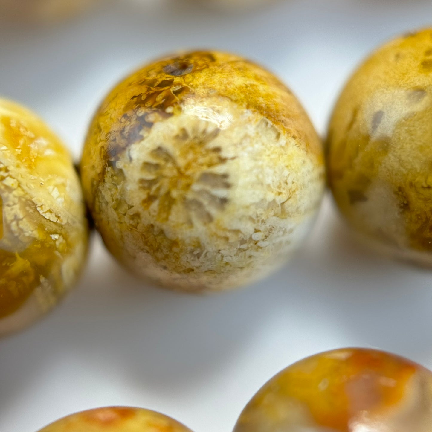 Fossilized Coral Polished Roudn Beads image 5