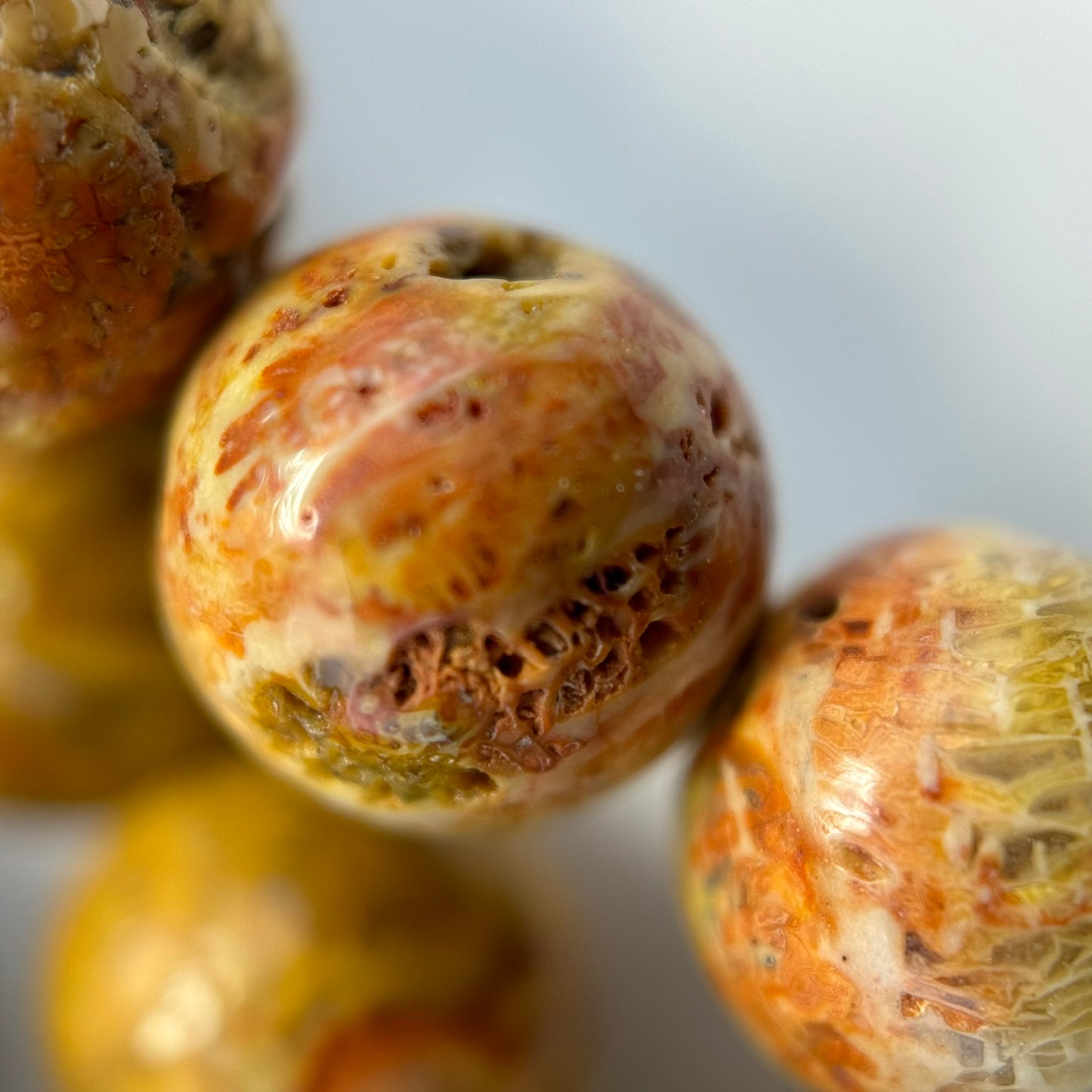 Fossilized Coral Polished Roudn Beads image 2