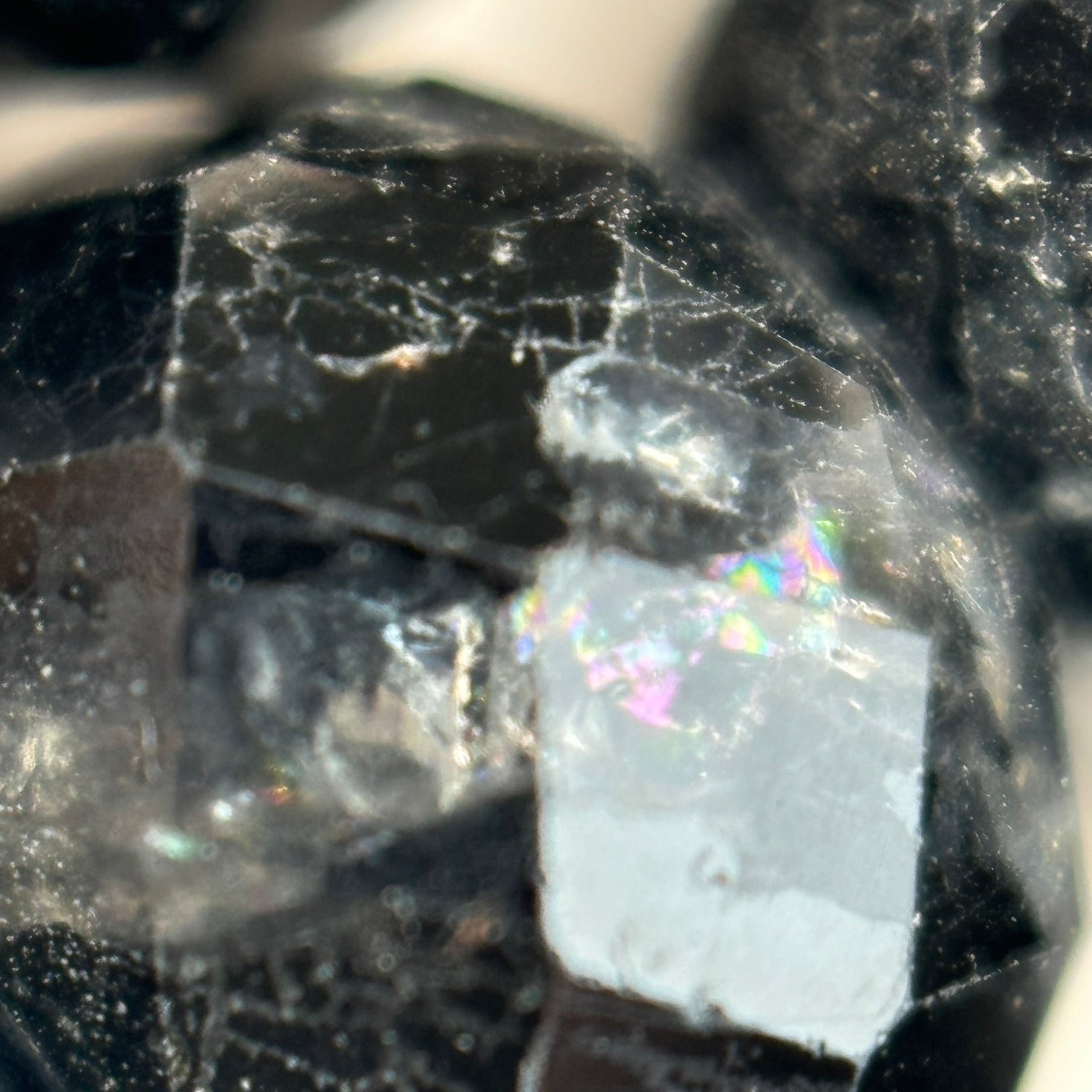 Black Tourmaline for Bracelet