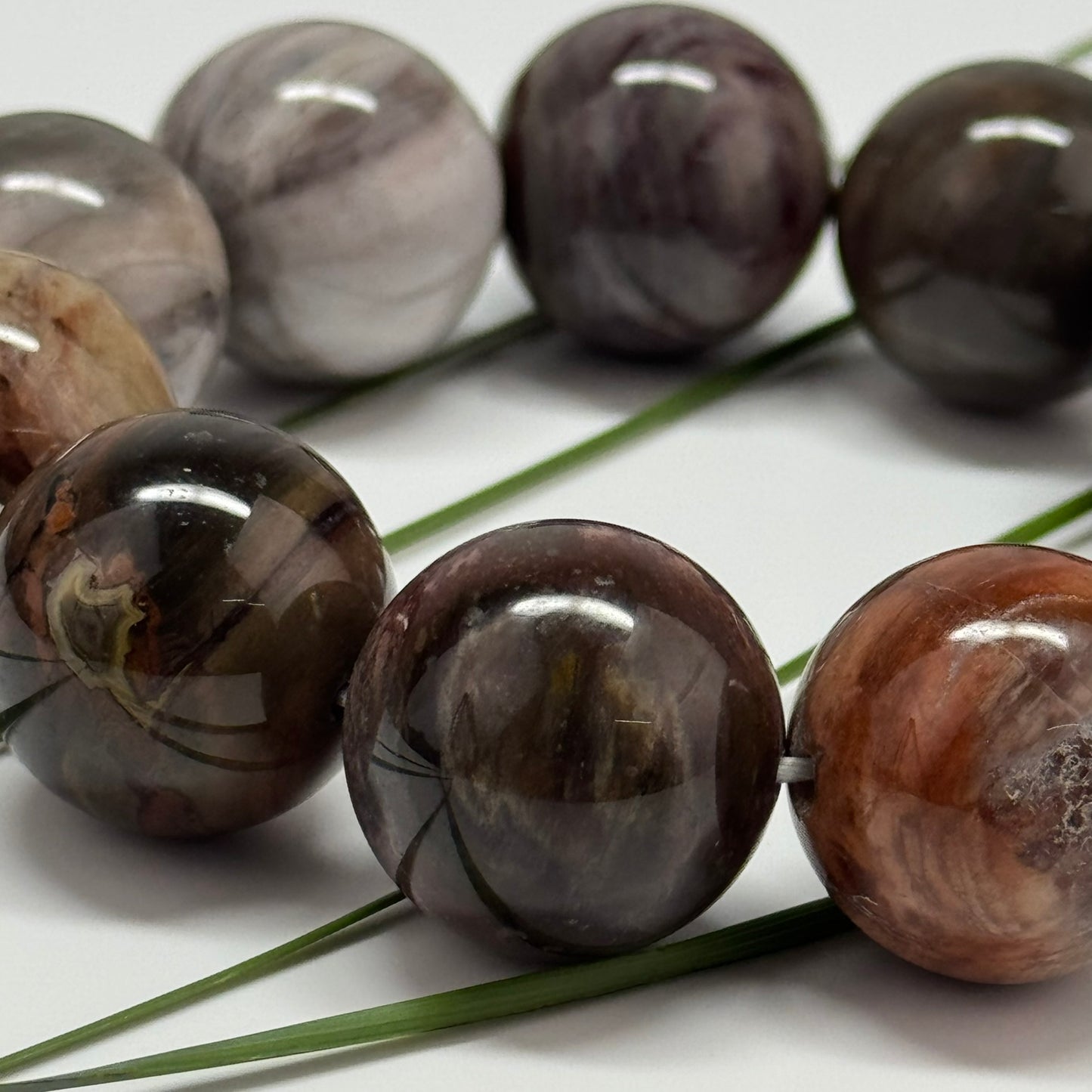 Bracelet: Petrified Wood Bracelet