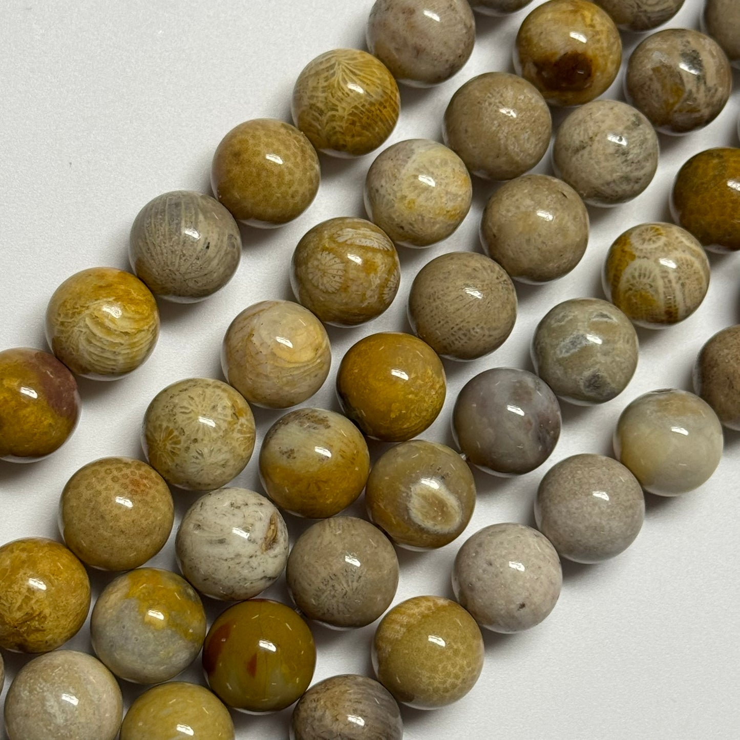 Fossilized Coral Beads - Polished Round Beads