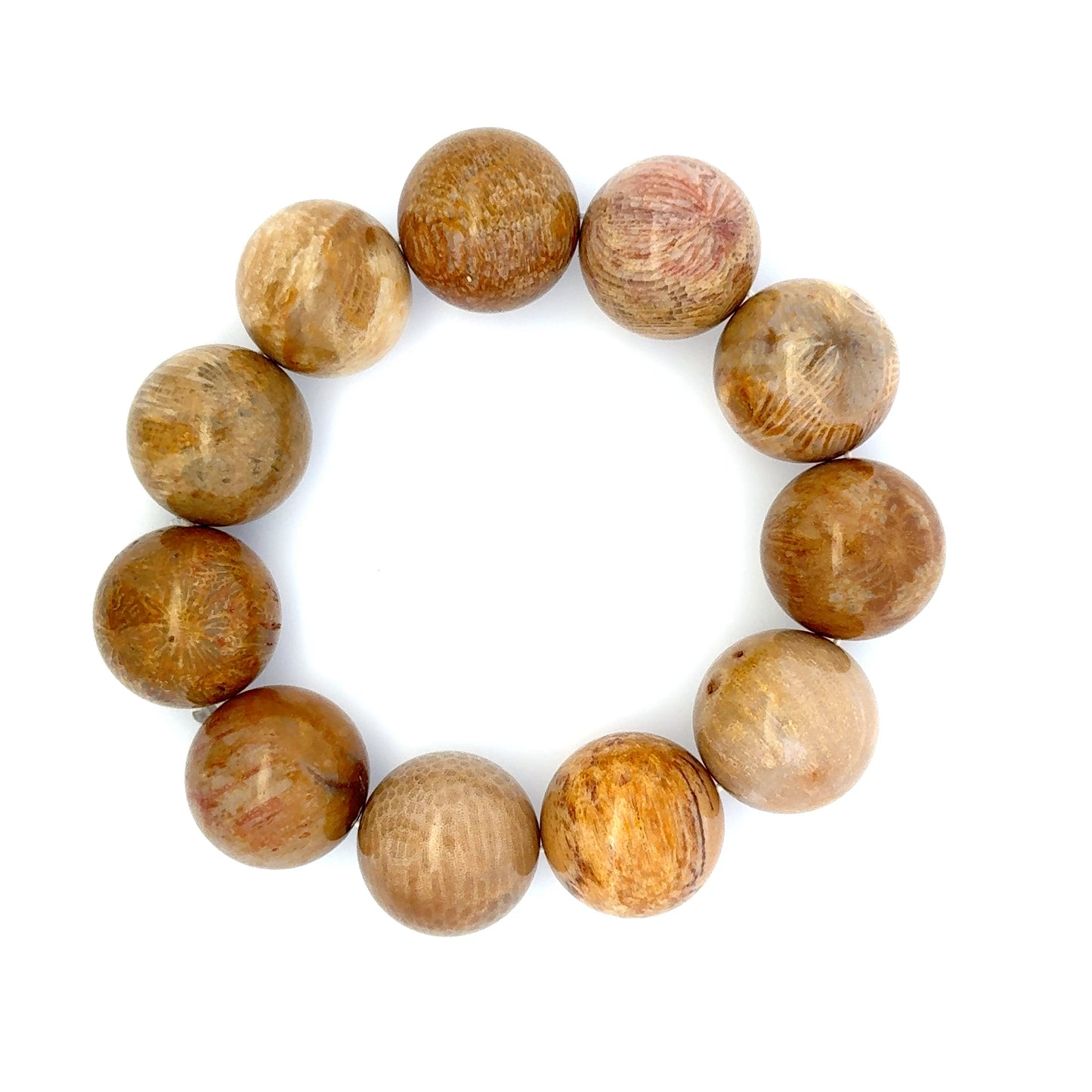 Bracelet: Fossilized Coral Bracelet