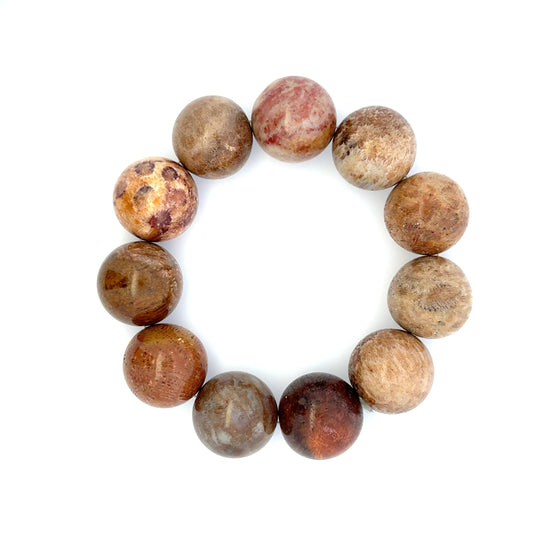 Bracelet: Fossilized Coral Bracelet
