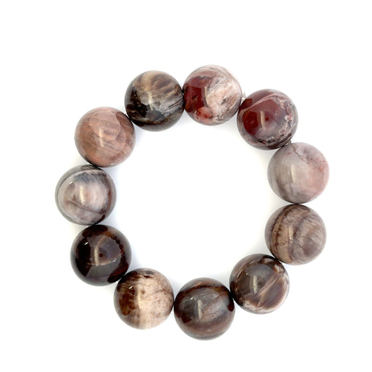 Bracelet: Petrified Wood Bracelet