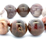 Bracelet: Petrified Wood Bracelet