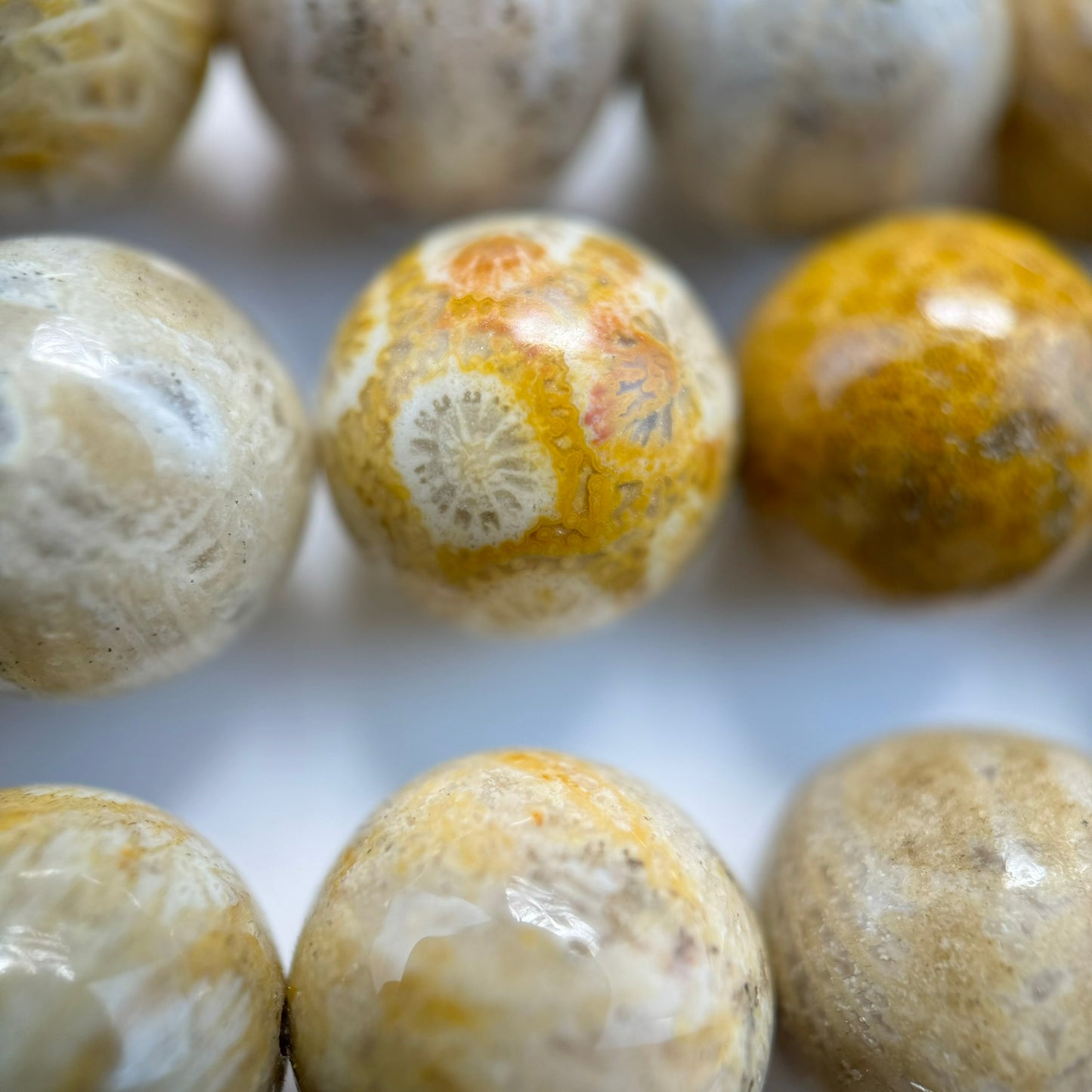 Fossilized Coral Polished Roudn Beads image 13