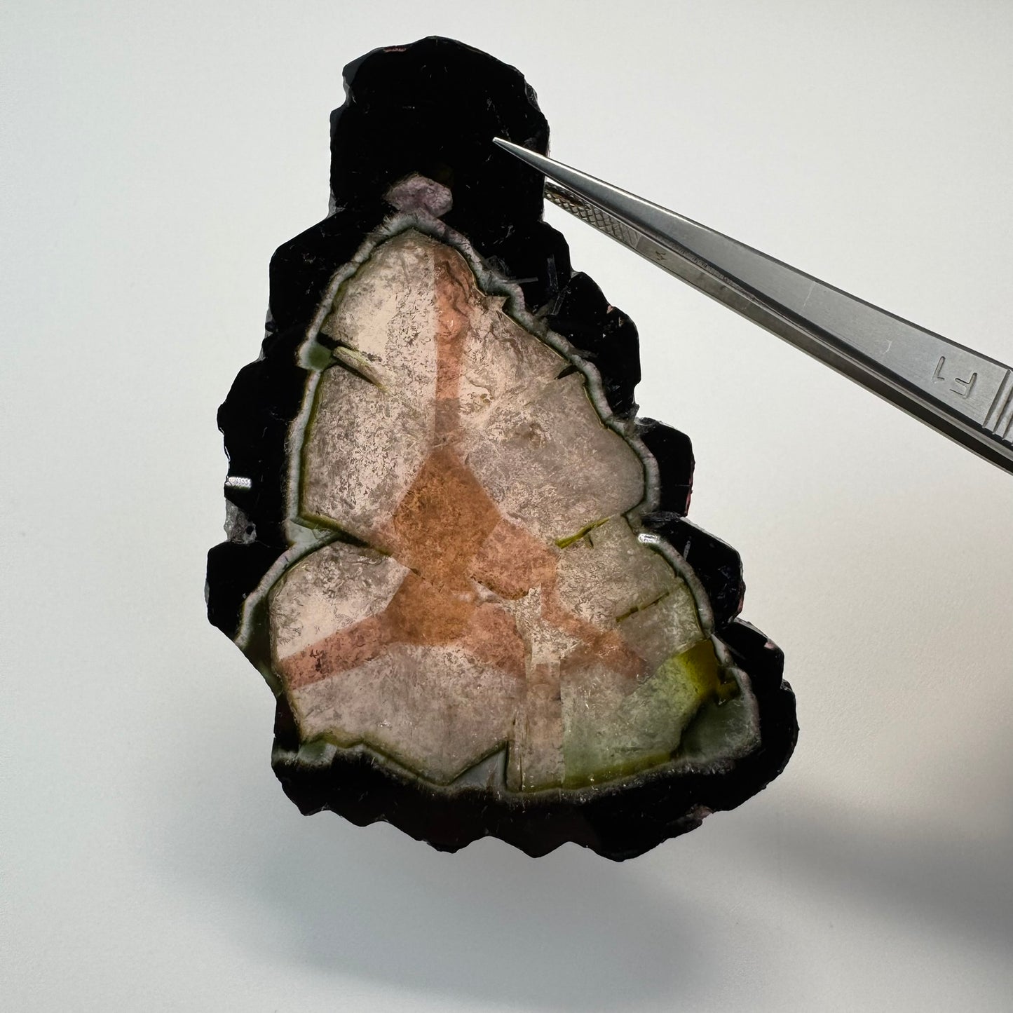 Watermelon Tourmaline (219 CT) image 5