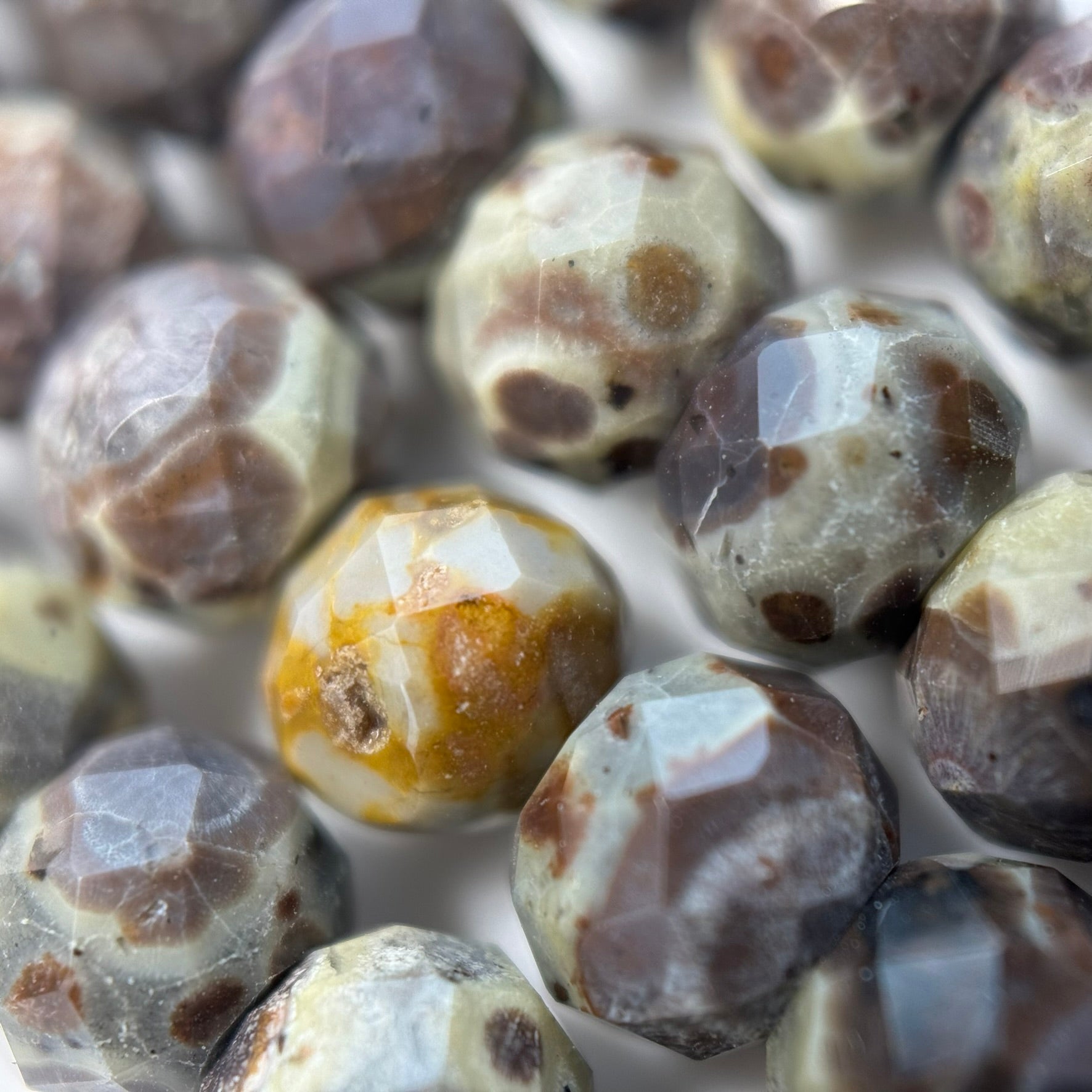 Ocean Fossil Jasper Faceted Rondelle Beads image 5