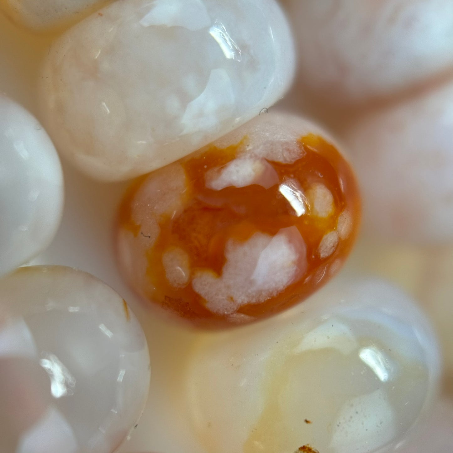 Sakura Agate Rondelle Beads image 1