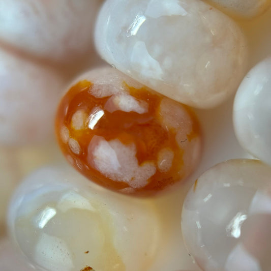 Sakura Agate Rondelle Beads