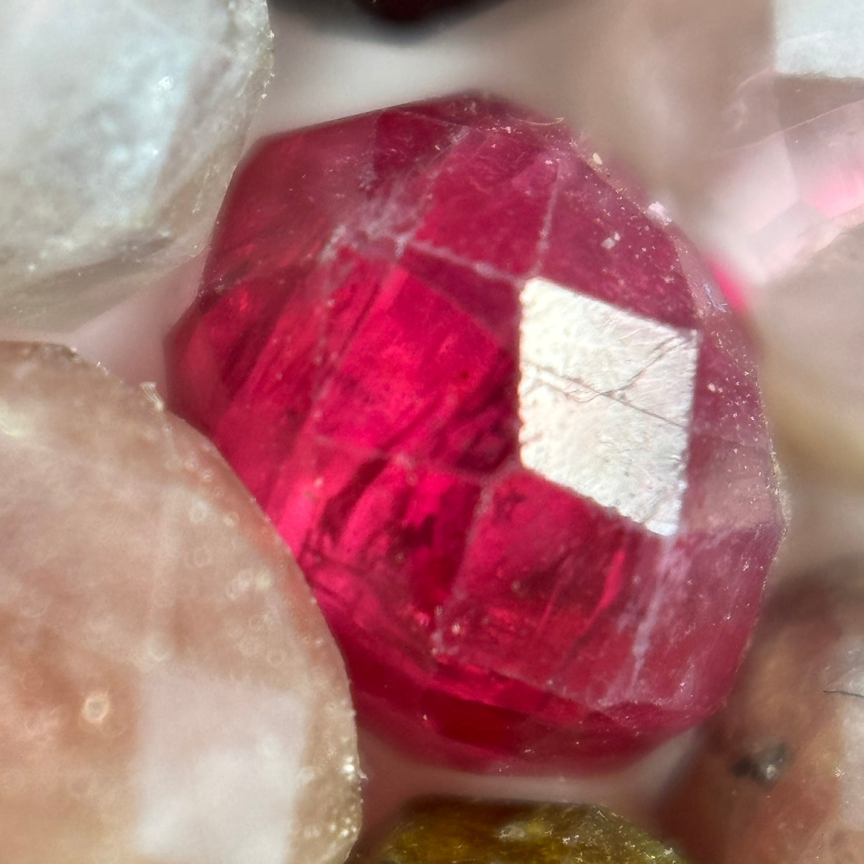 Spinel Faceted Rondelle Beads (AAA Quality) image 10