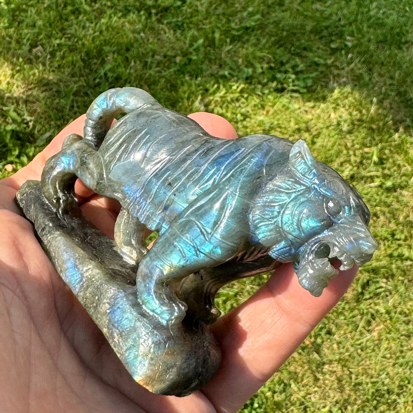 Labradorite Tiger Carving (4 x 2.5 inches) image 3
