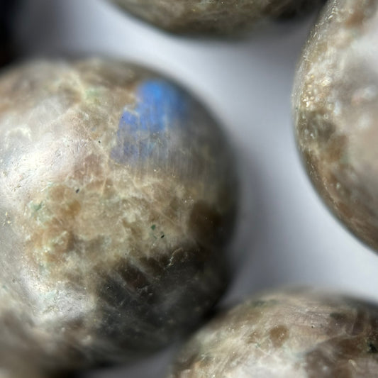 Labradorite Chocolate Polished Round Beads (A Quality)