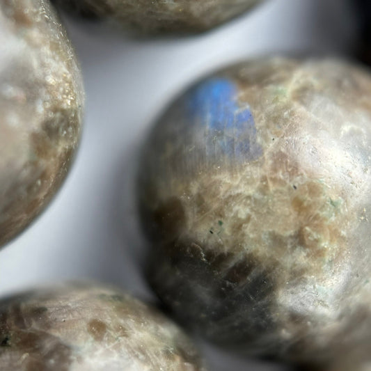 Labradorite Chocolate Polished Round Beads (A Quality)