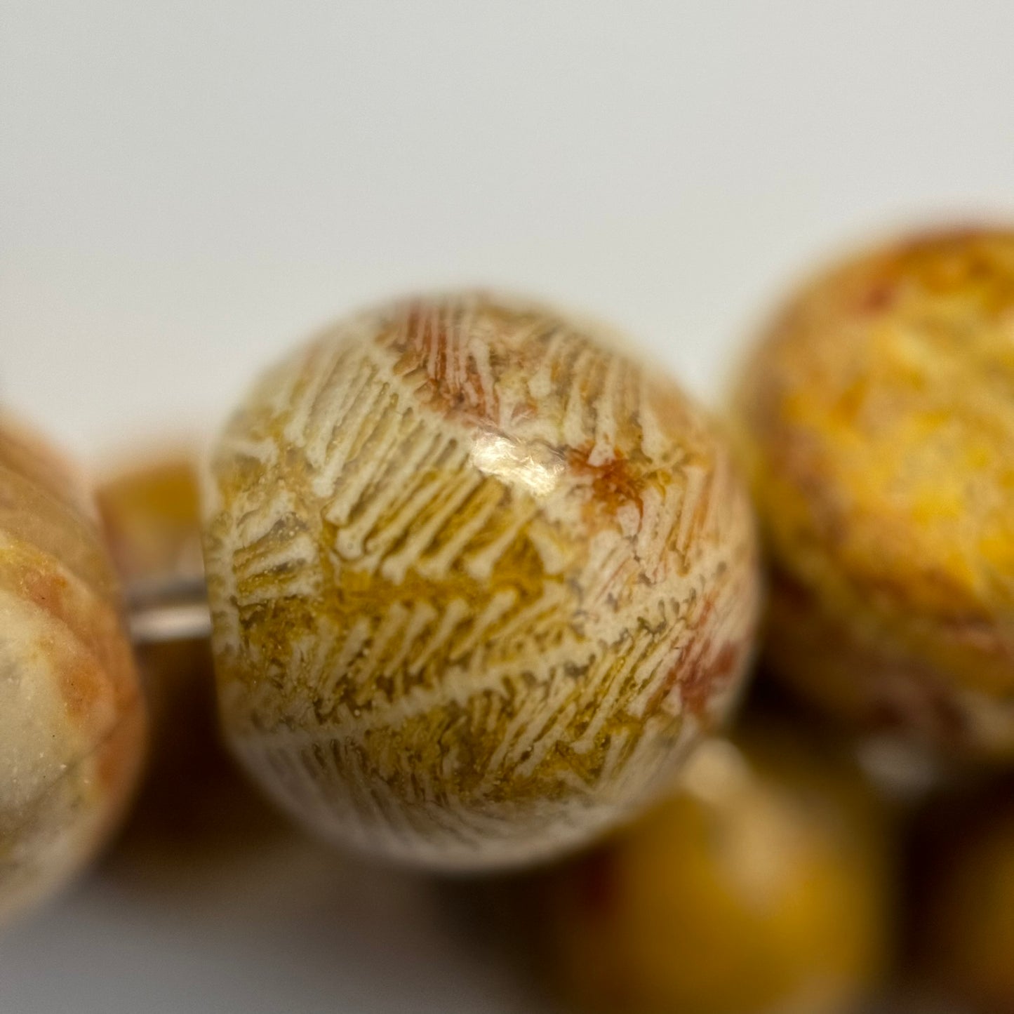 Fossilized Coral Polished Roudn Beads image 7