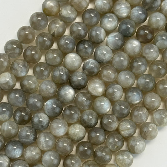 Gray Chocolate Moonstone Polished Round Beads