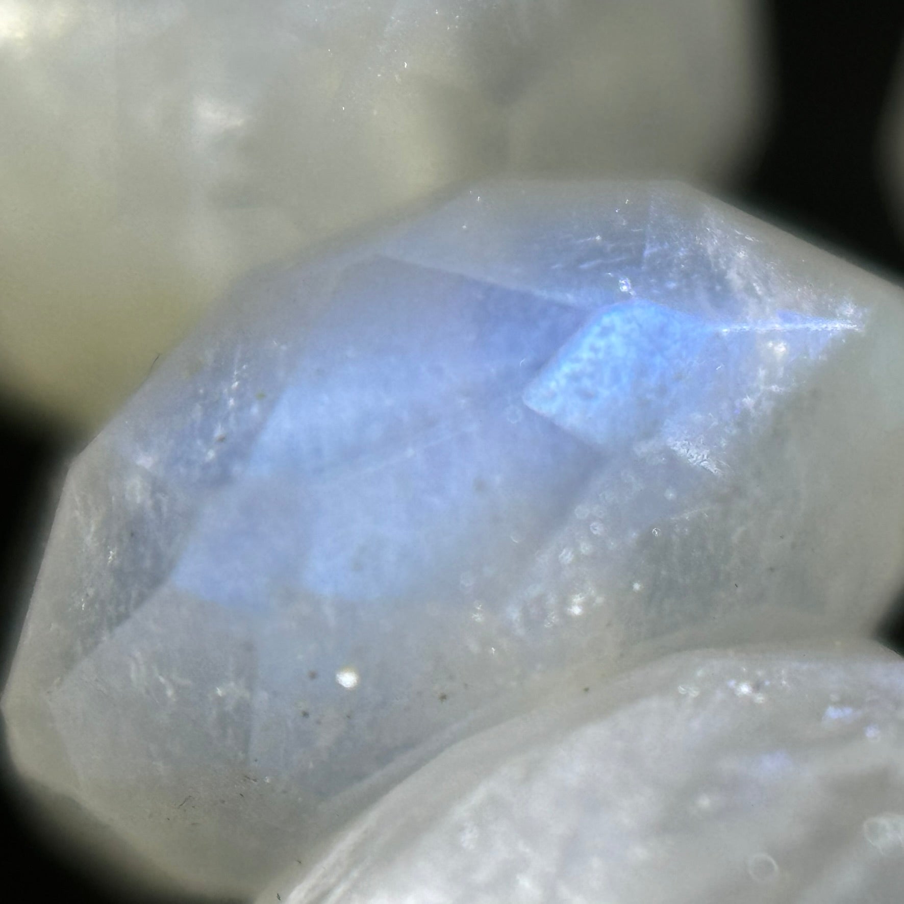 Faceted Moonstone Rondelle Beads (7x4mm) image 1