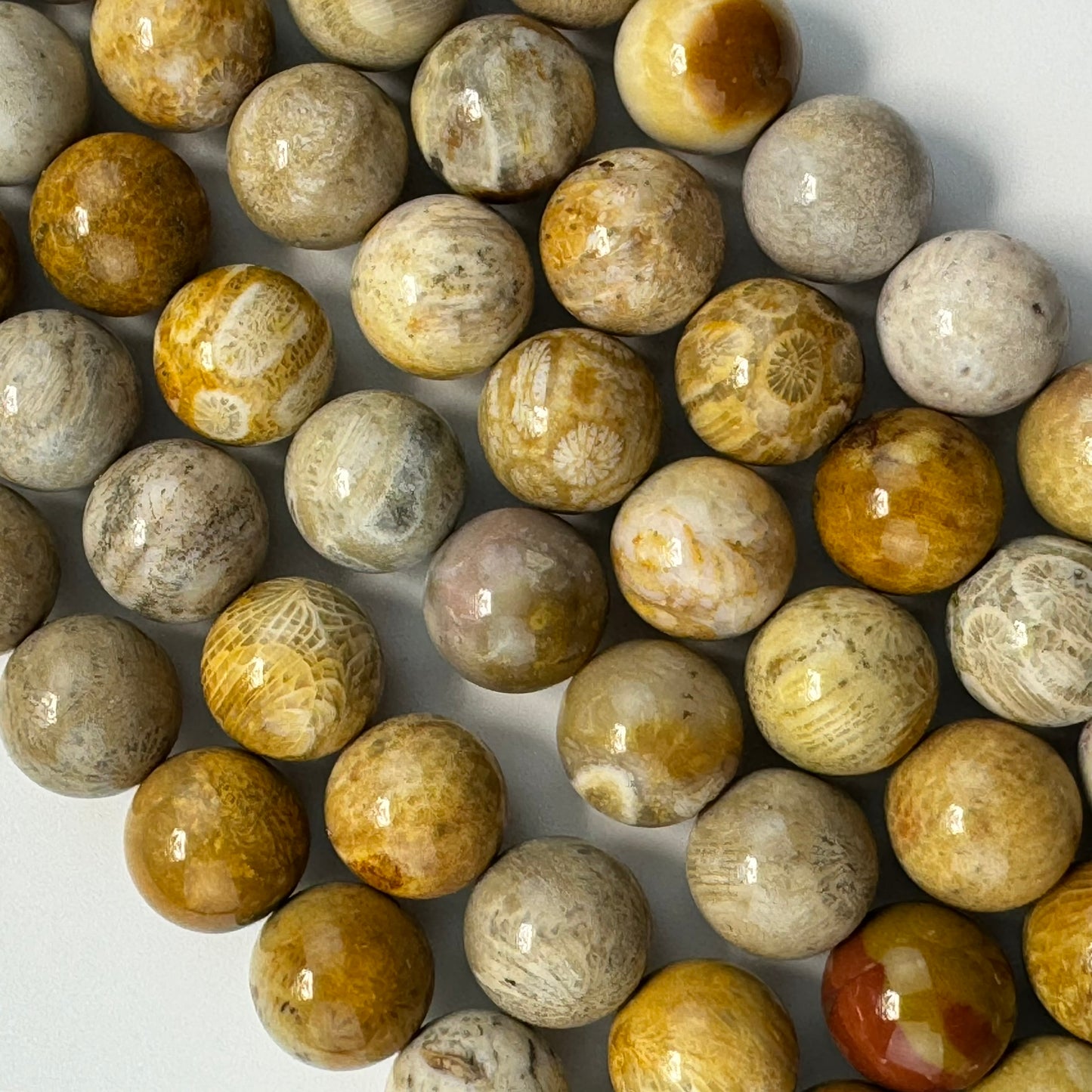 Fossilized Coral Polished Roudn Beads image 9